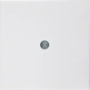 Wall plate / switch cover Berker 10198989 — pack of 10, standard single-gang mounting