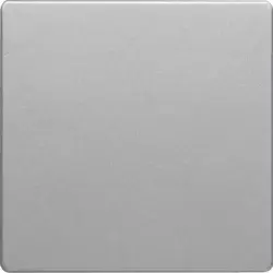 Berker 16206084 Single Rocker for Switch Q.1/Q.3 Aluminium Velvet Lacquered