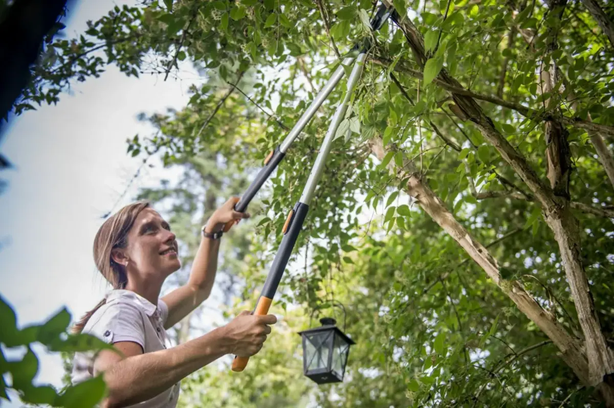 Lapu šķēres Fiskars SmartFit L86 Photo 4