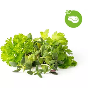 Indoor smart planting pods Click and Grow Plant Pod PPMSSX9 – 9 pcs Steak Mix