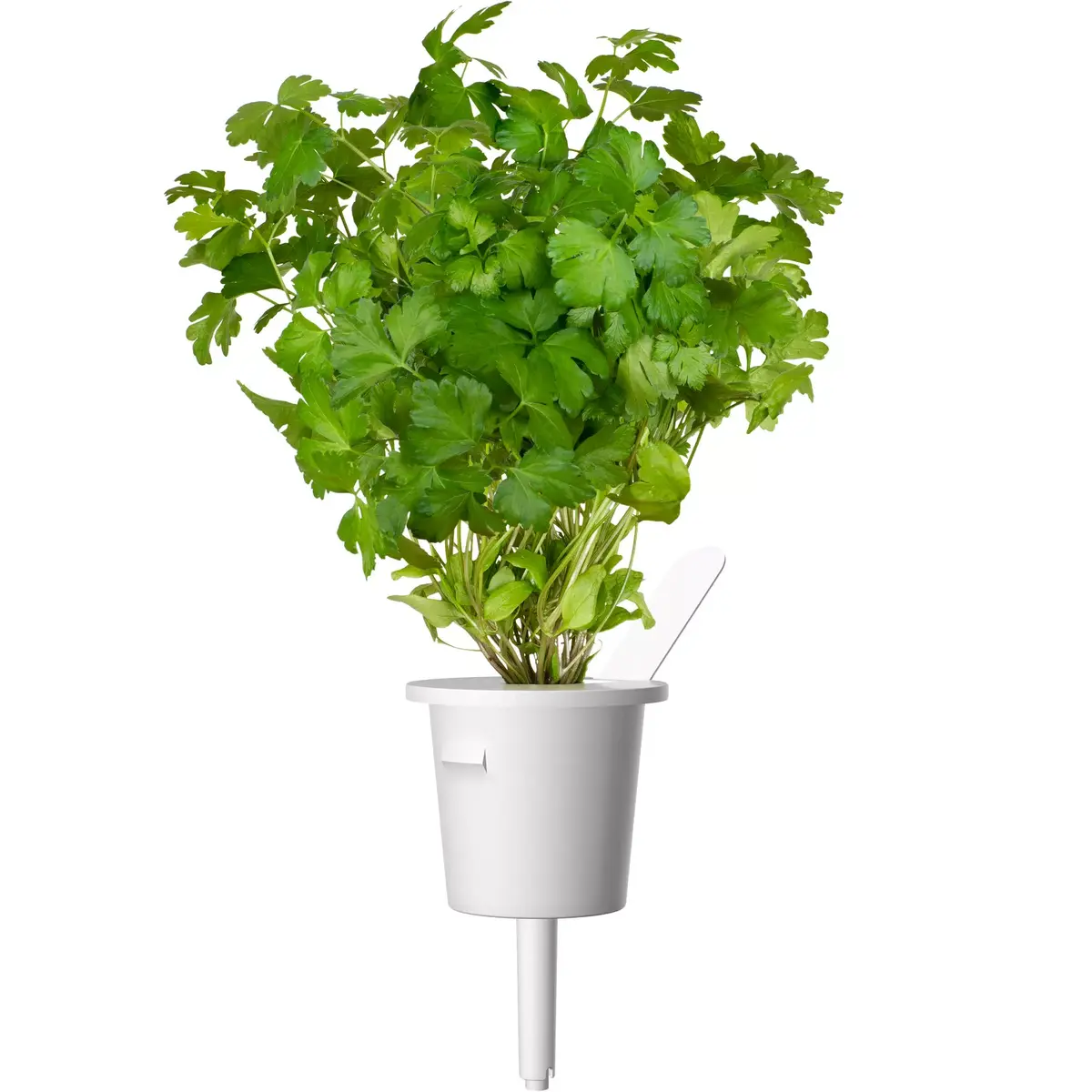 Click and Grow Plant Pod PPMSSX9 — 9 pcs Steak Mix Photo 3