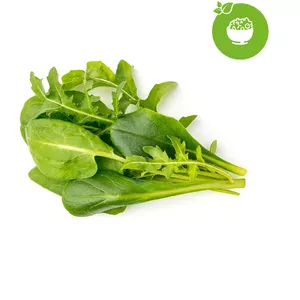 Plant Pod Click & Grow PPMSAX9 9 pcs Salad Mix — herb and salad seed pods for smart indoor garden