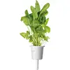 Plant Pod Click & Grow PPMSAX9 9 pcs Salad Mix Photo 4