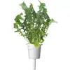 Plant Pod Click & Grow PPMSAX9 9 pcs Salad Mix Photo 5