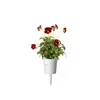 Starter kit Click & Grow Red Pansy Plant Pods Photo 3