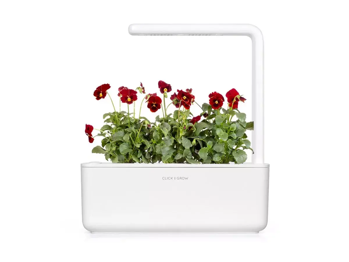 Starter kit Click & Grow Red Pansy Plant Pods Photo 4