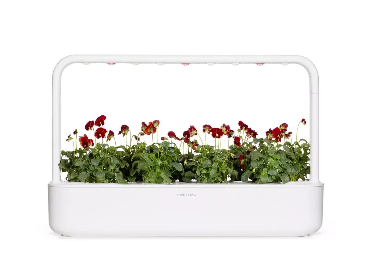 Starter kit Click & Grow Red Pansy Plant Pods Photo 5
