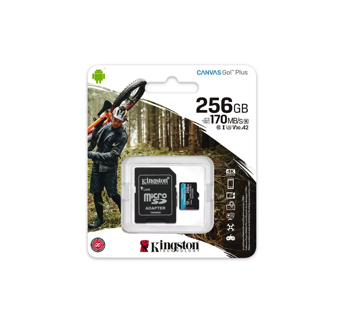Zibatmiņa Kingston 256GB Canvas Go Plus Photo 5