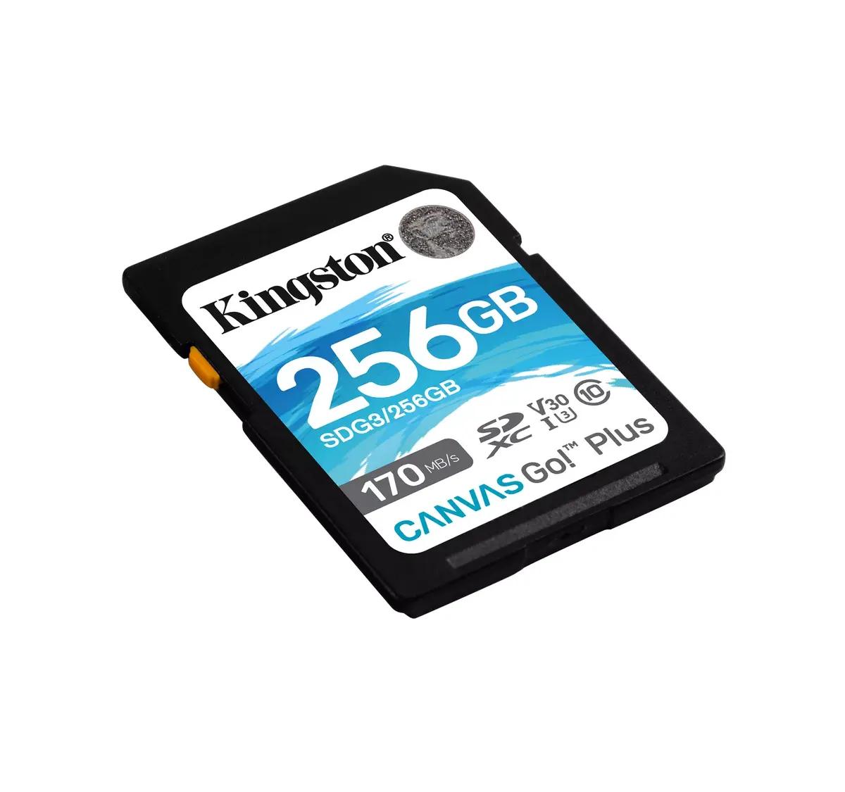 Флеш-память Kingston 256GB Canvas Go Plus Photo 2