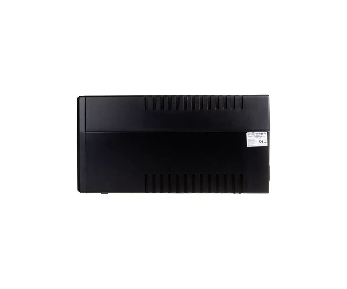 UPS Digitus DN-170067 Photo 3