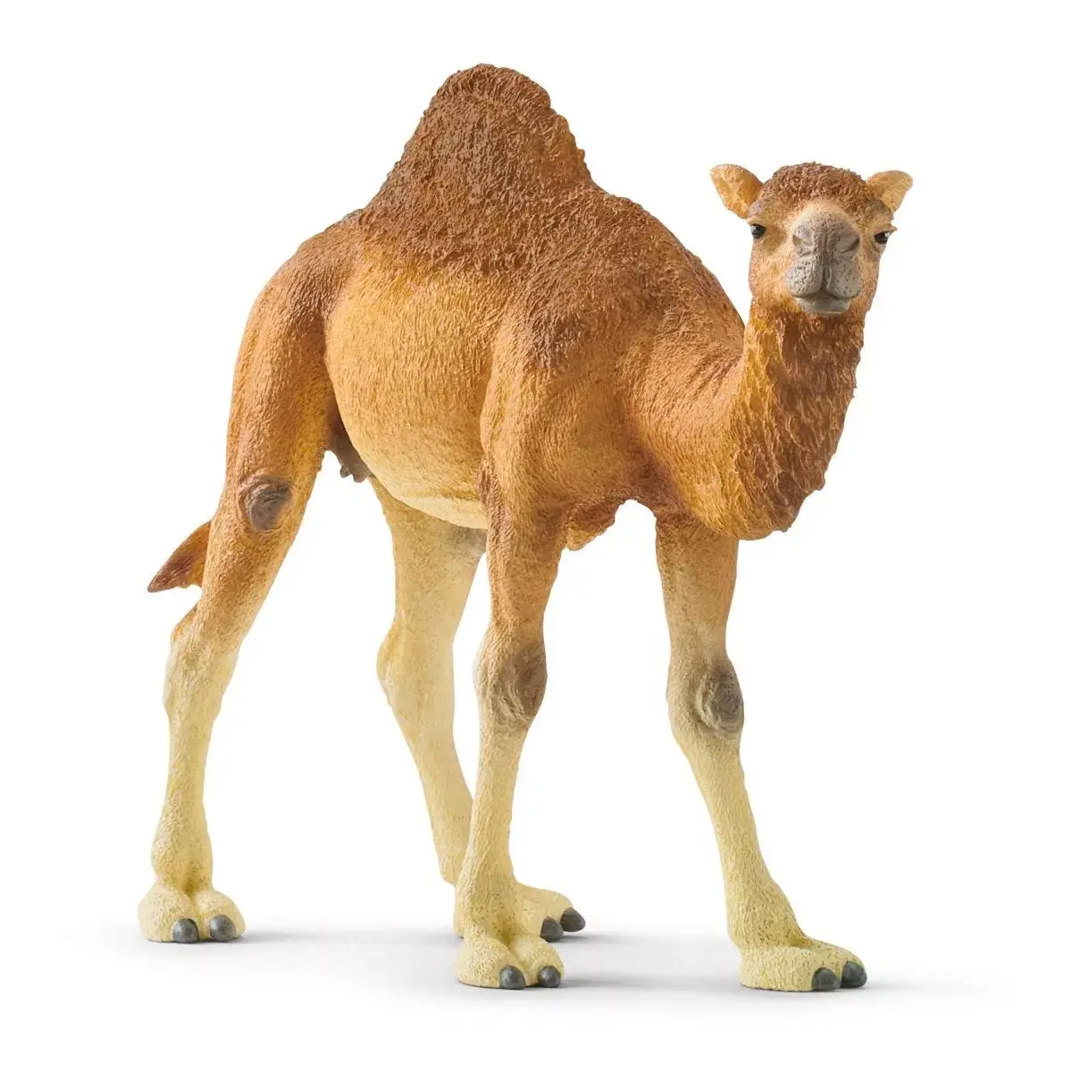 schleich WILD LIFE 14832 children's toy figure 14832 Photo 2