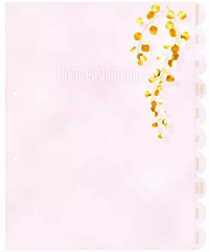 Папка с кольцами HERMA 15421 A4 Розовая Photo 5