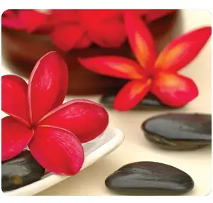 Mouse pad Fellowes Earth Series Spa Flowers — plastic/rubber, 228×203 mm, printed surface