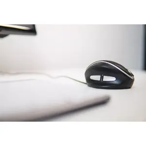 The features.