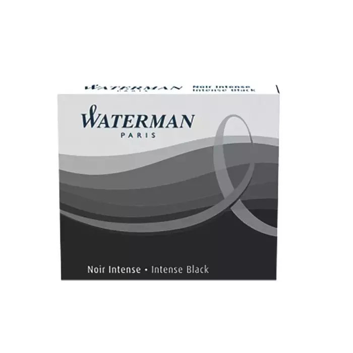 WATERMAN S0110940 Photo 1