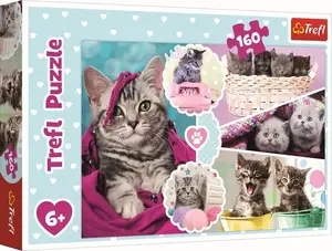 Пазл, TREFL Puzzle 160 элементов – Милые кошки