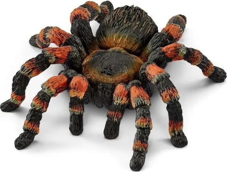 Фигурка Schleich WILD LIFE Тарантул Photo 2
