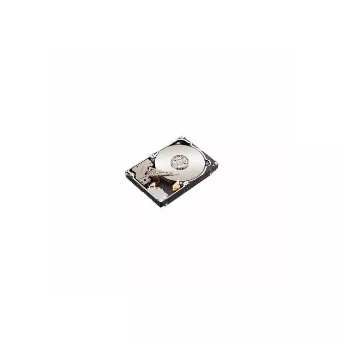 SEAGATE ST91000640NS-RFB Photo 1