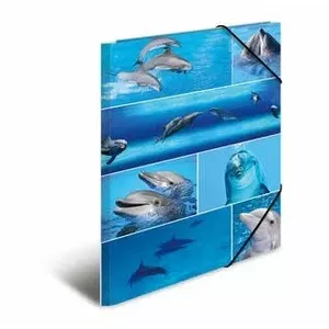 Folder Cardboard HERMA 19221 A3 Multicolour