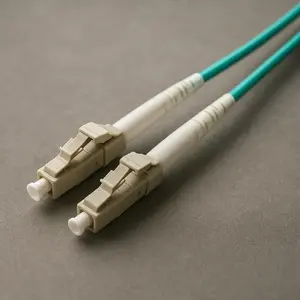 LWL Cable ROLINE 50/125µm OM3 LC/LC 2m