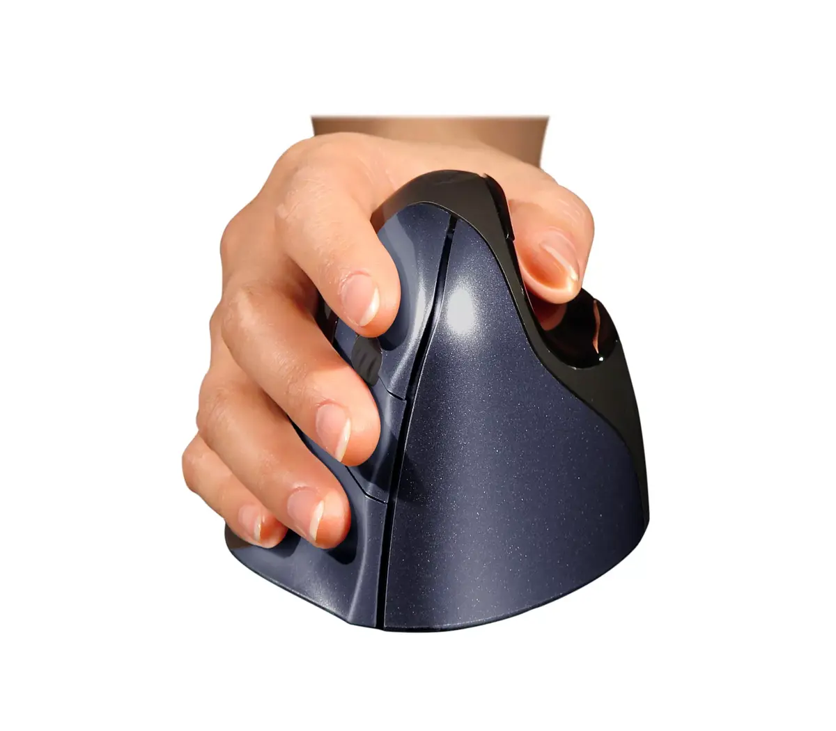 Mouse BakkerElkhuizen Evoluent4 Wireless Photo 2
