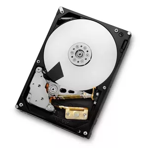 Western Digital Ultrastar 7K3000 3.5" 2.05 TB SATA,Serial ATA II