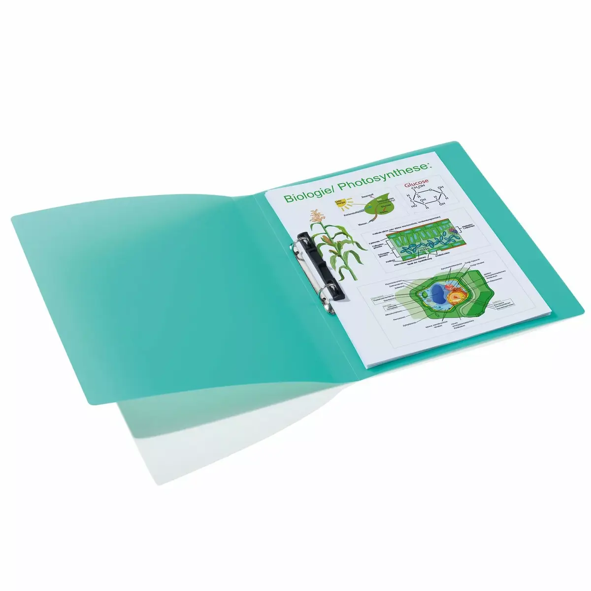 Ring binder A4 HERMA 19184 Photo 3