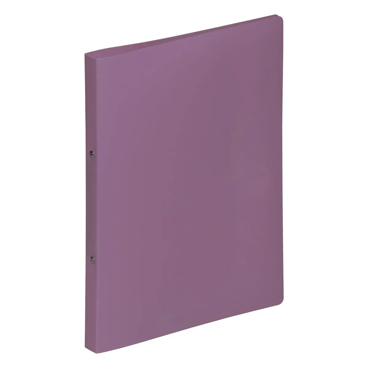 Pagna 20901-12 A4 gredzenu mapes violetā