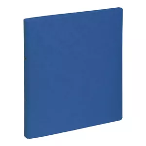 Pagna 44096-02 ring binder A4 Blue