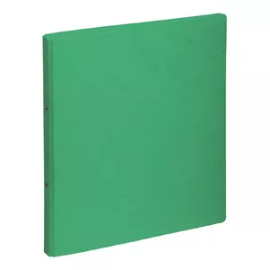 Ring binder A4 Pagna 44096-03 Green
