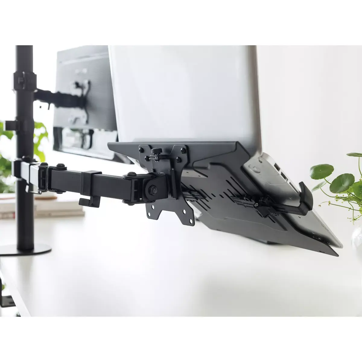 Portatīvā datora statīvs Equip Laptop Holder 10"-15.6" Photo 6