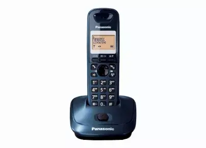 DECT телефон Panasonic KX-TG2511 Photo 2