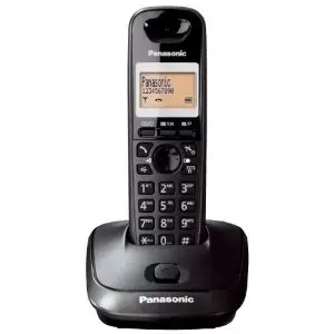 DECT телефон Panasonic KX-TG2511FXT
