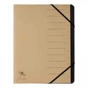 File folder Pagna 40061-11 — conventional cardboard, brown, 1 pc