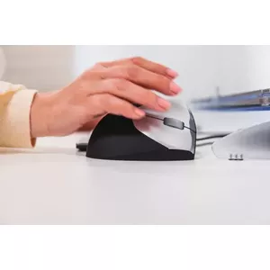 Optimal posture and performance.