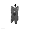 TV Wall Mount Neomounts NM-W60BLACK Photo 5
