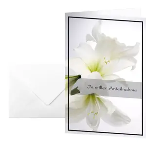 Greeting/Sympathy Card Sigel DS006