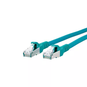 BTR NETCOM Cat6A, 3m networking cable Green
