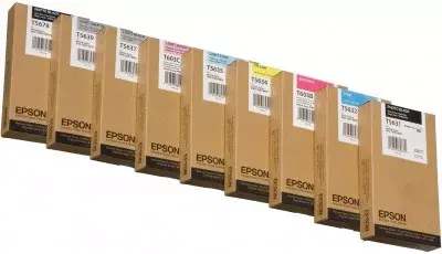 Epson Singlepack Photo Black T563100 ink cartridge Photo 4