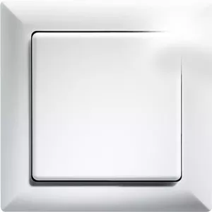 Light Switch Eltako FT55-wg
