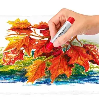 Eļļas krītiņi Staedtler 2420 Photo 4