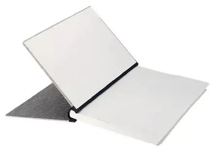 Folder Cardboard Leitz 39440085 Photo 2