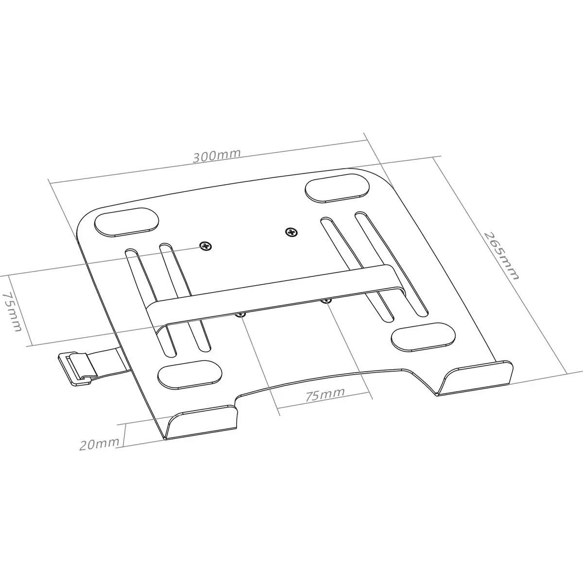 Notebook Mount InLine 23162A Photo 2