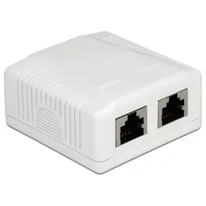 Sokets 2 x RJ-45 DeLOCK 86197