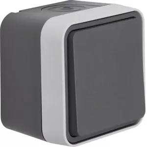 Light switch Berker 30773505, grey, button control, 250 V, 10 A