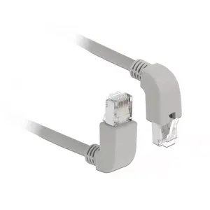 Networking Cable DeLOCK 85872 2m Cat6a S/FTP Grey