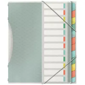 Blank tab index Esselte 626256