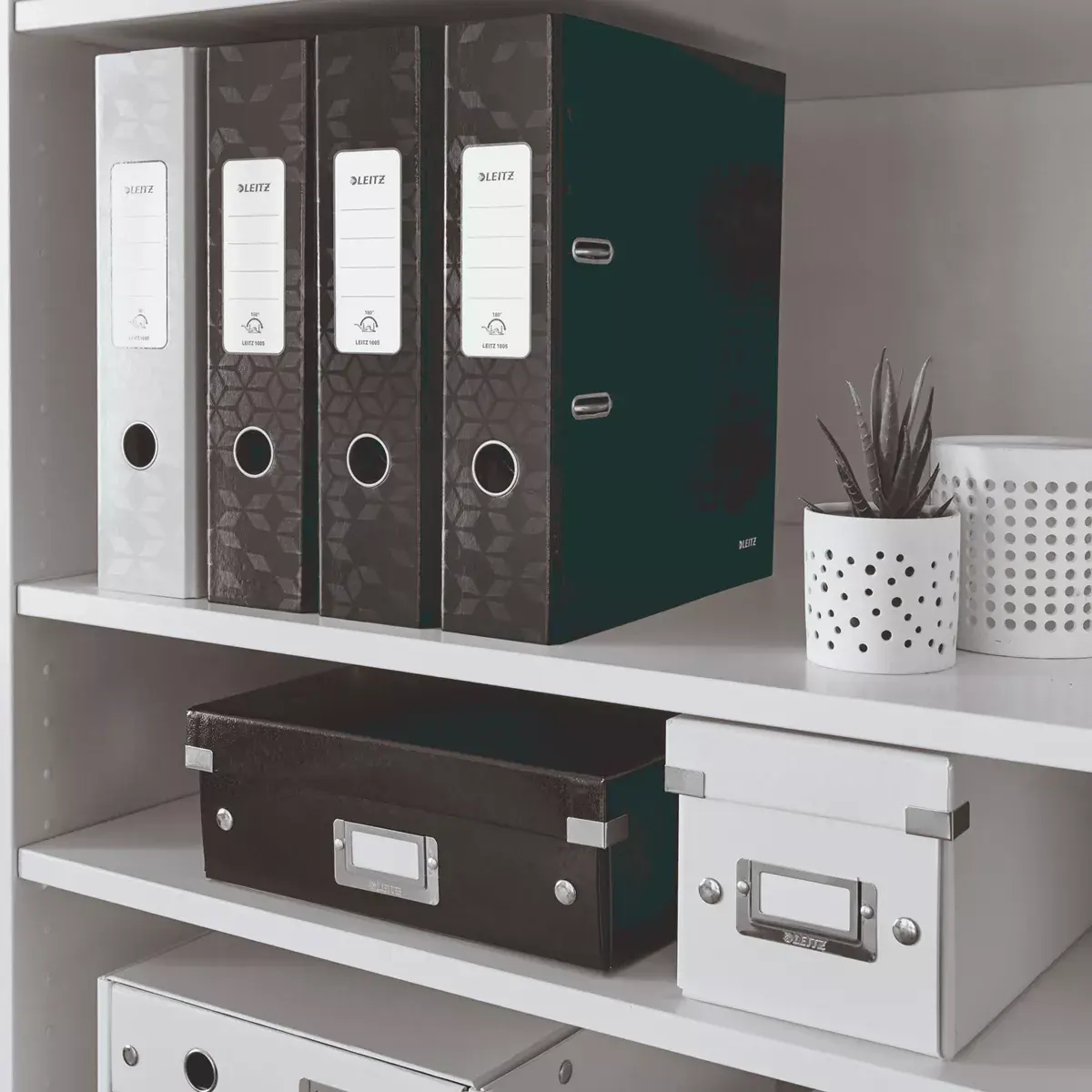 Ringbinders Leitz 10050095 Photo 4