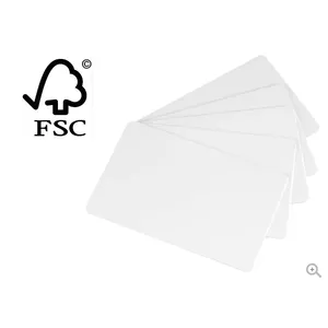 Card Stock Evolis C2501 500 Sheets