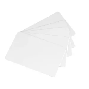 Card stock Evolis C2511 100 sheets